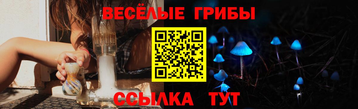 Псилоцибиновые грибы Psilocybine cubensis Воркута